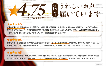 飛米牛デミハンバーグ (180g×4枚) ハンバーグ 簡単調理 湯せん 温めるだけ [Q2452]