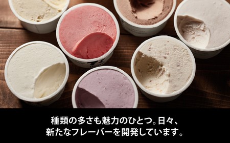 ジェラート 国際大会優勝店「Rimo」おすすめ8個セット ABA004 | ジェラート