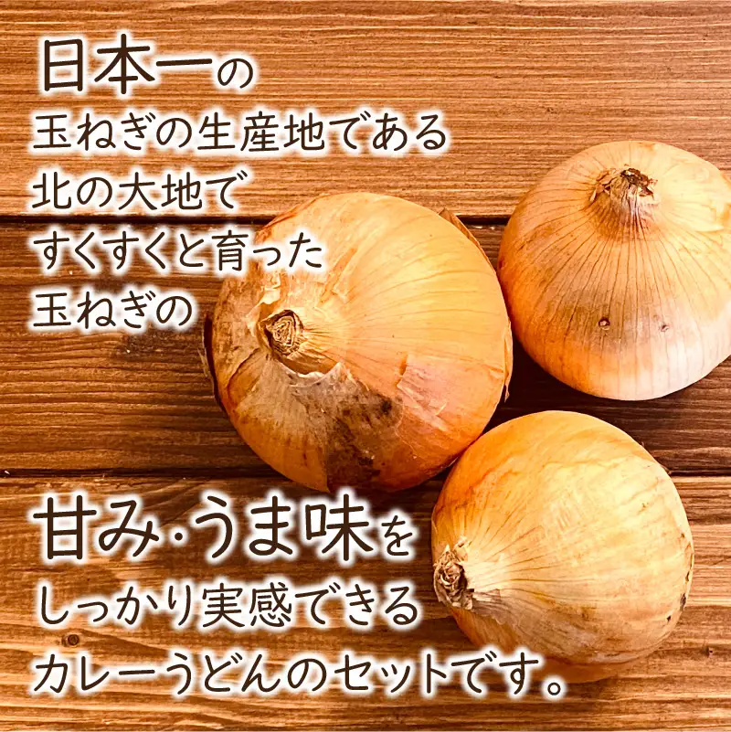 生産量日本一の玉ねぎを使った北のカレーうどんセット ( カレー うどん 麺 セット 玉ねぎ たまねぎ 牛すじ チーズ 豚 )【104-0016】