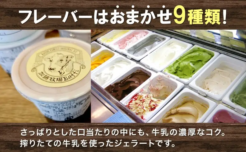 【加藤牧場】ノンホモ低温殺菌牛乳使用 ジェラート 9個入り アイス 氷 夏 暑い 猛暑 フレーバー 濃厚 さっぱり 人気 ご当地 スイーツ お菓子 食後 デザート 氷菓 牛乳 さっぱり コク お取り寄せ 加藤牧場 埼玉県 日高市