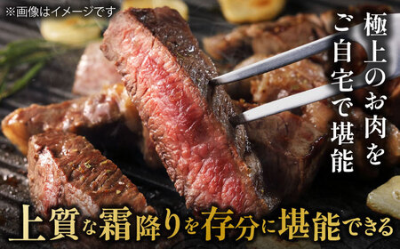佐賀牛 サーロインステーキ 250g / サーロインステーキ [IAG050]