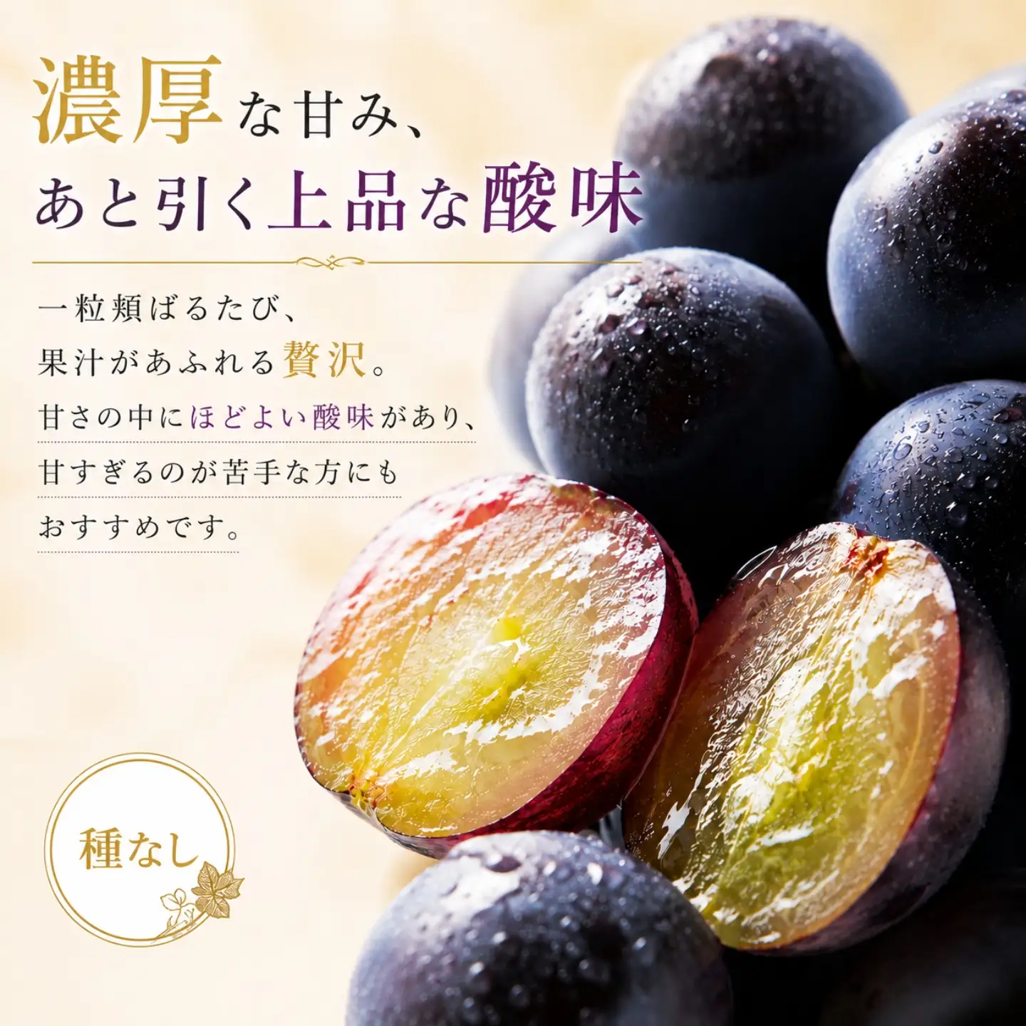 山梨県産　種なしピオーネ2～3房(約1.0Kg）　【2026年発送】ピオーネ