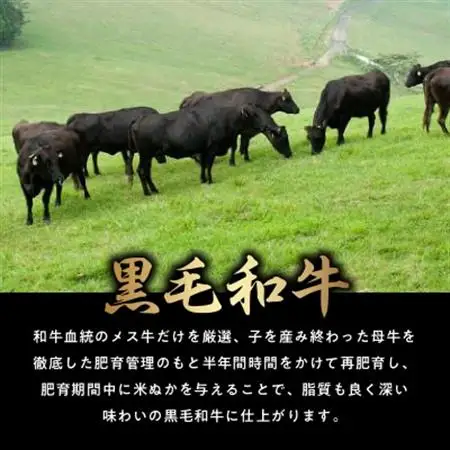 黒毛和牛を普段使いに 黒毛和牛切落し900g【配送不可地域：離島】【1186151】