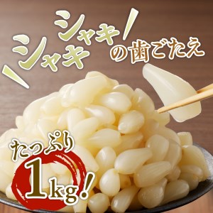 色白美人らっきょう　国産無添加　１kg [h138]