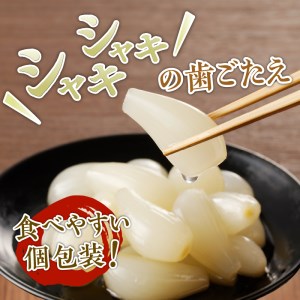 食べきりサイズ 色白美人らっきょう 国産無添加 80g×6袋　ラッキョウ 食べきりサイズ 480g おつまみ ご飯のおとも お酒のお供 野菜 旬 漬物 つけもの お漬物 常温保存 山梨県 北杜市 [h138]