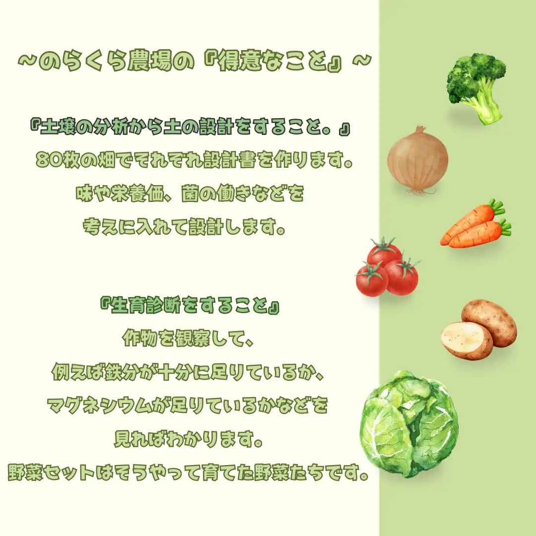 【先行受付】有機野菜ちいさな畑セット（Mサイズ　２～３人前）［NK-101］