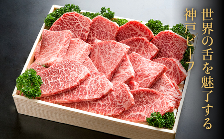 神戸牛 焼肉セット 牛肉 焼肉用 肩 もも 500g / 焼き肉 セット 食べ比べ 牛 肉 霜降り 但馬牛 黒毛和牛 和牛 国産牛 焼肉 やきにく アウトドア キャンプ BBQ 太田牧場 太田牛 神戸ビーフ TYY2 【但馬牛太田家】
