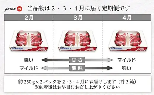 【2027年2～4月発送】博多あまおう2パック3回定期便 約500g×3回[H5352]