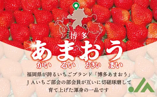 【2027年1月3日・4日・5日発送】博多あまおう 約250g×4P[H2262]