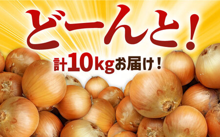 【先行予約】農家直送 玉ねぎ 約10kg / 玉ねぎ [IAO001]