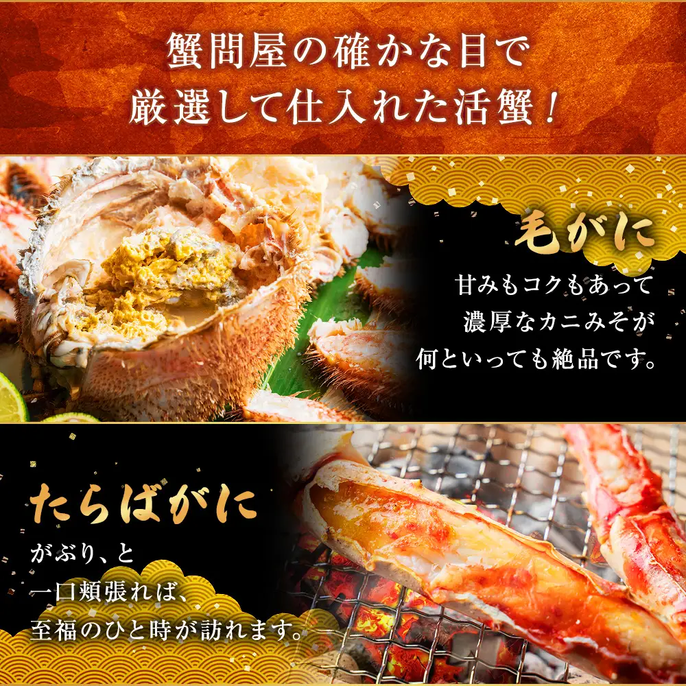 厳選!! 毛がに・たらばがにセット（B） ふるさと納税 かに 蟹