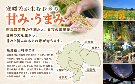 【令和7年産】コシヒカリ 10kg ( 5kg × 2袋 ) 米 一等米  福島県 田村市 ふぁせるたむら