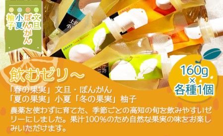 土佐の果実・飲むゼリー(4個セット) フルーツゼリー ts-0010