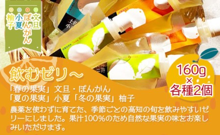 土佐の果実・飲むゼリー(8個セット) フルーツゼリー ts-0011