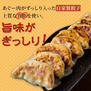 沖縄あぐーの自家製餃子