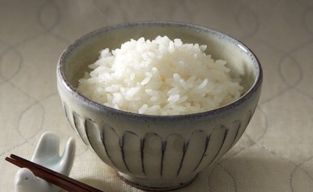 【3ヶ月定期便】 令和7年産 白米 10kg×3ヶ月お届け 品種 たかたのゆめ 陸前高田市 オリジナル ブランド米 冷めてもおいしい