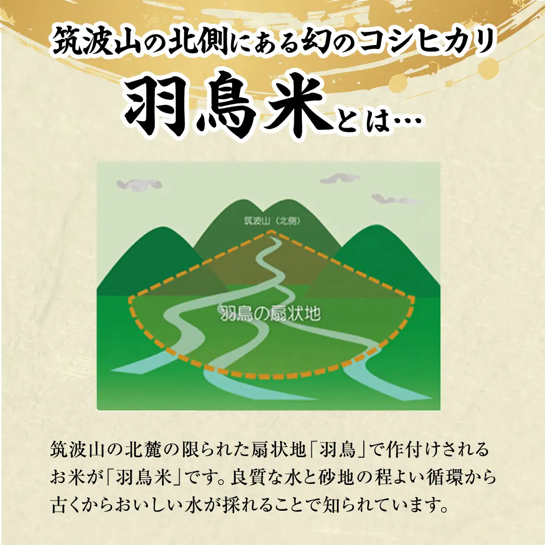 《 令和7年産 先行予約 》 コシヒカリ 「幻の米 羽鳥米」 15kg (5kg × 3袋) 筑波北麓秘蔵米 お米 ごはん 精米 コメ 白米 国産 茨城県 桜川市 限定 期間限定 数量限定 銘柄米 [AX001sa]