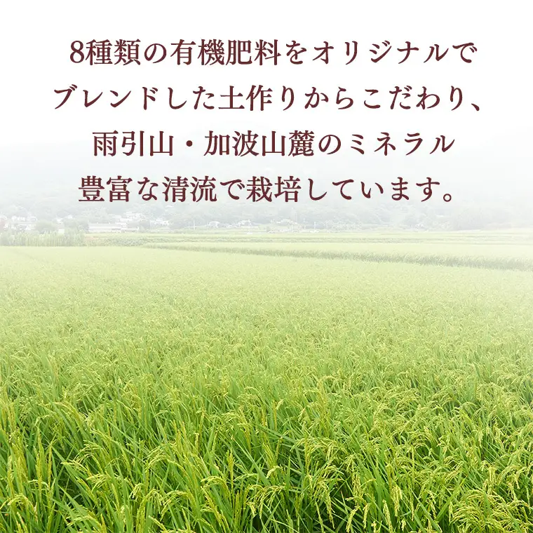 令和7年産  桜川市の 厳選 甘引米 13kg 特別栽培米 コシヒカリ こしひかり 米 こめ コメ 有機肥料 桜川市産 茨城県 いばらき [BA001sa]
