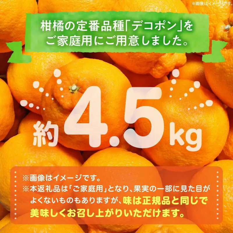 高松産季節の果物＜ご家庭用　デコポン＞約4.5kg【2027年2月下旬～2027年4月上旬配送】