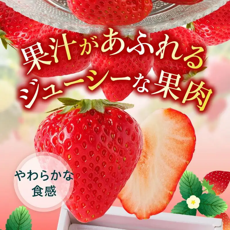 さぬきひめいちご化粧箱　2箱(各約400g)【2027年1月上旬～2027年4月下旬配送】