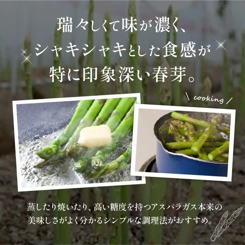 柔らかさと甘みが際立つ さぬきのめざめ春芽 約700g【2027-1月下旬～2027-2月下旬配送】