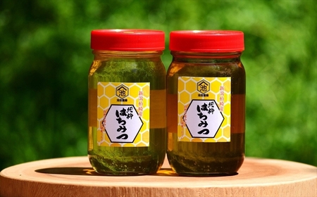 【令和7年産・数量限定】国産 非加熱 純粋はちみつ 300g×2種類（アカシア蜜・黒花槐蜜）食べ比べセット 柏崎産[Y0450]