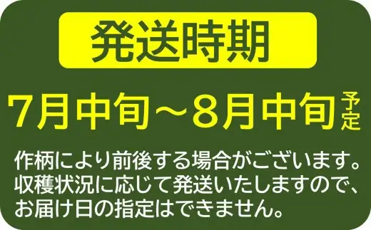 【先行予約・数量限定】風味豊かな早生枝豆「越後はちこく茶豆」 1kg（250g×4袋）新潟県産枝豆[ZA025]