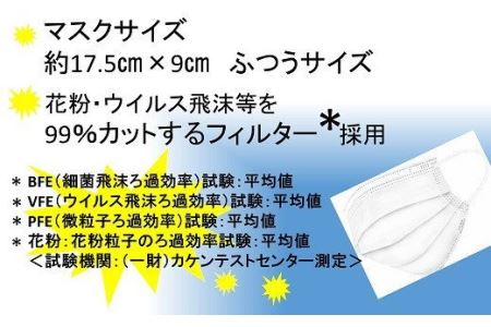 ブルボン 不織布マスク100枚（50枚/箱×2箱）[ZB359]