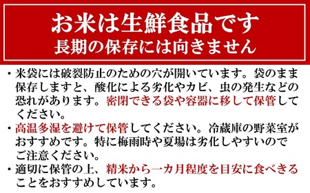 【令和7年産米】新之助 無洗米 6kg（3kg×2袋） 徳永農園[Y0138]