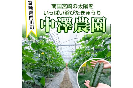 宮崎県産きゅうり(5kg)野菜 やさい 旬 新鮮 サラダ キュウリ 胡瓜 冷蔵 宮崎県産【NS-1】【中澤農園】