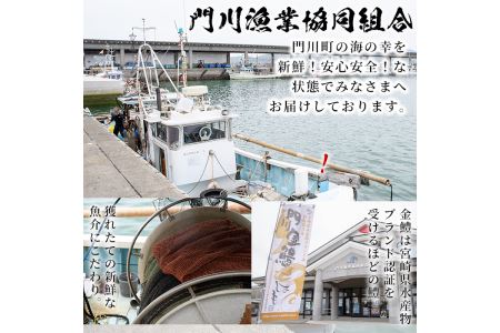門川金鱧(計750g)骨切り済 ハモ 小分け 冷凍 魚介類 鍋 丼 国産 宮崎県 門川町【O-3】【門川漁業協同組合】