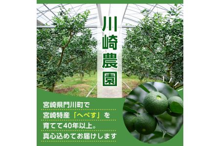 ＜先行予約受付中！2026年6～7月の間に発送予定＞期間限定！門川町産へべす(1kg)柑橘 果汁 国産 特産品 宮崎県 門川町【AM-1】【川崎農園】