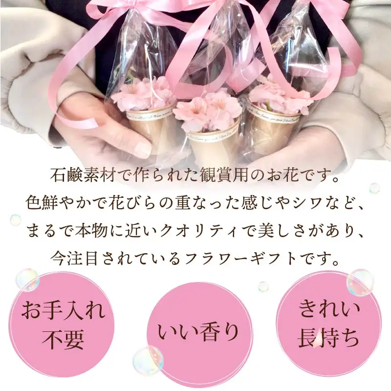 世界一小さなアレンジメント 桜カップ 3個セット ( プレゼント 花 ソープフラワー 桜 )【122-0009】