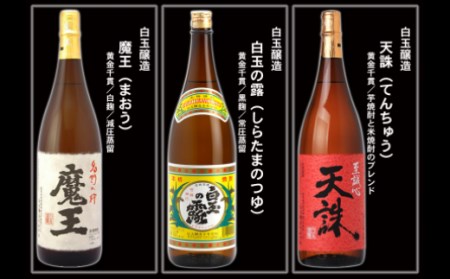 No.10004-1 大隅蔵めぐり　飲み比べ一升瓶10本セット