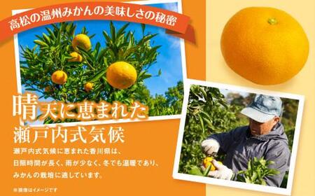瀬戸内温州みかん　厳選高糖度　約5kg【2026年10月中旬～2027年1月中旬配送】