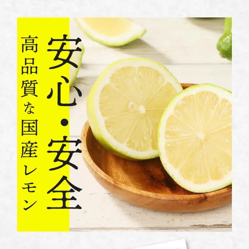 レモン　約2kg【2026年11月下旬～2027年4月上旬配送】
