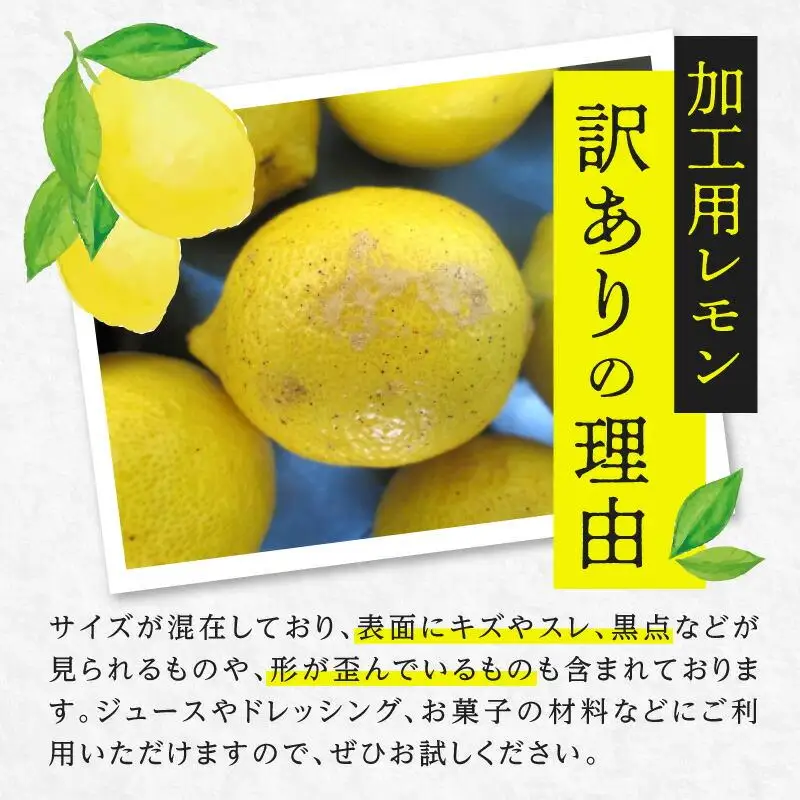 訳あり 加工用 レモン (サイズ混合) 3kg【2026年11月下旬～2027年4月上旬配送】