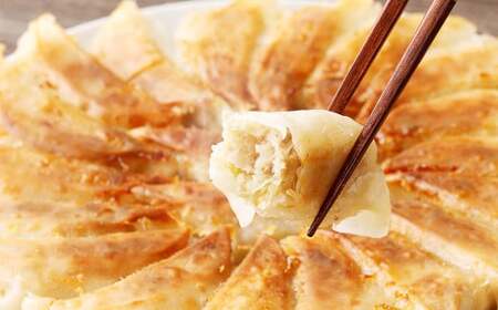 冷凍餃子５袋（えむちゃん５袋100個） ぎょうざ | NPO法人プラス・ワン 第２むくのき 冷凍 餃子 国産豚肉 ぎょうざ 小分け M12S115