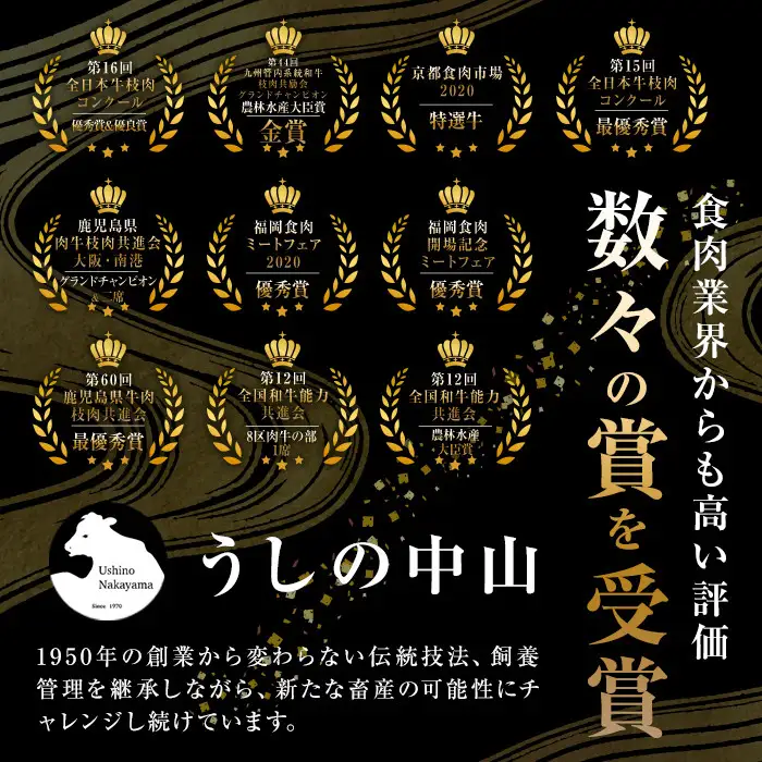 鹿児島県産 黒毛和牛 100%使用 極上 ハンバーグ(計1.2kg) a6-027