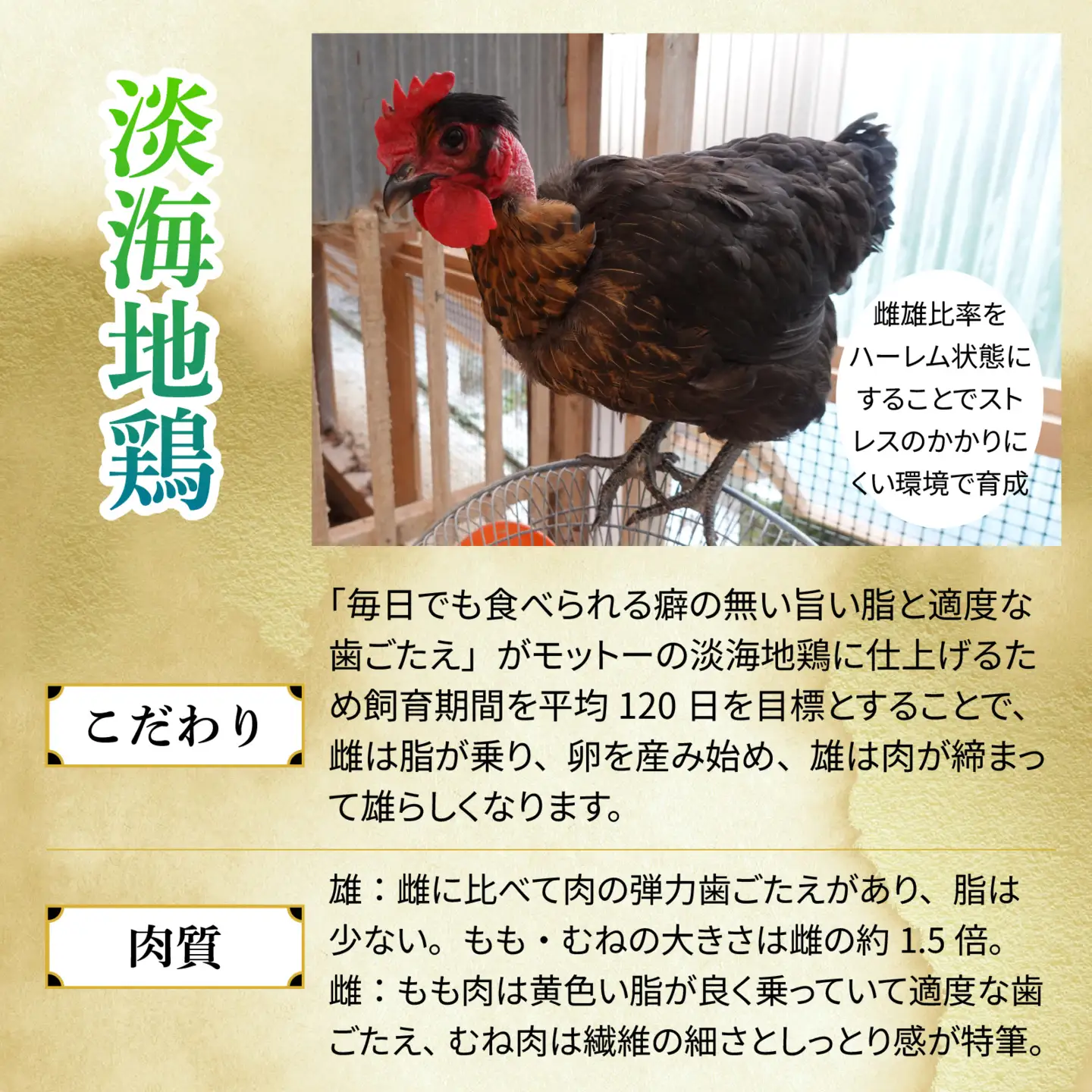 【かしわの川中】超新鮮＆美味！淡海地鶏ねぎ塩 約800g（3～4人前） [G001] / 地鶏