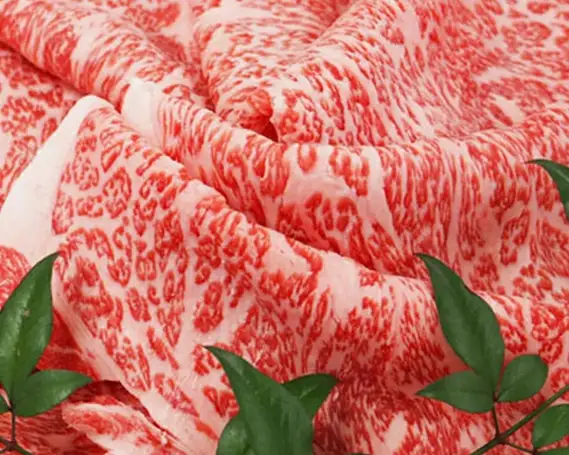 近江牛 たなか善 ＜極選＞すき焼き・しゃぶしゃぶ用スライス 約600ｇ