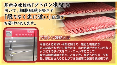 近江牛A5ランクサーロインステーキ 200ｇ×2枚 近江牛