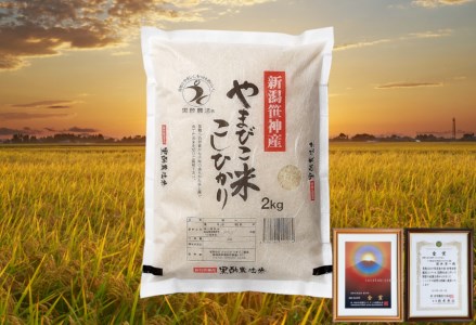 【令和7年産】【3か月定期便】コシヒカリ「やまびこ米」2kg×3回 玄米黒酢農法 金賞受賞 特別栽培米 白米 精米 農家直送 新潟県 米 こめ コメ 1P07021