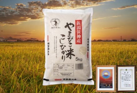 【令和7年産】コシヒカリ「やまびこ米」10kg(5kg×2袋) 玄米黒酢農法 金賞受賞 特別栽培米 白米 精米 農家直送 新潟県 米 こめ コメ 1P03028