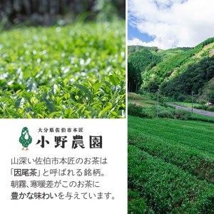 紅茶 ティーバッグ 3種セット (オリーブ紅茶、和紅茶、発酵いちょう葉紅茶・各12個) お茶 紅茶 茶 茶葉 セット 詰め合わせ 大分県 佐伯市【ES04】【小野農園】