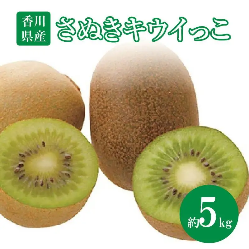 さぬきキウイっこ　約5kg【2026年10月下旬～2026年12月下旬配送】