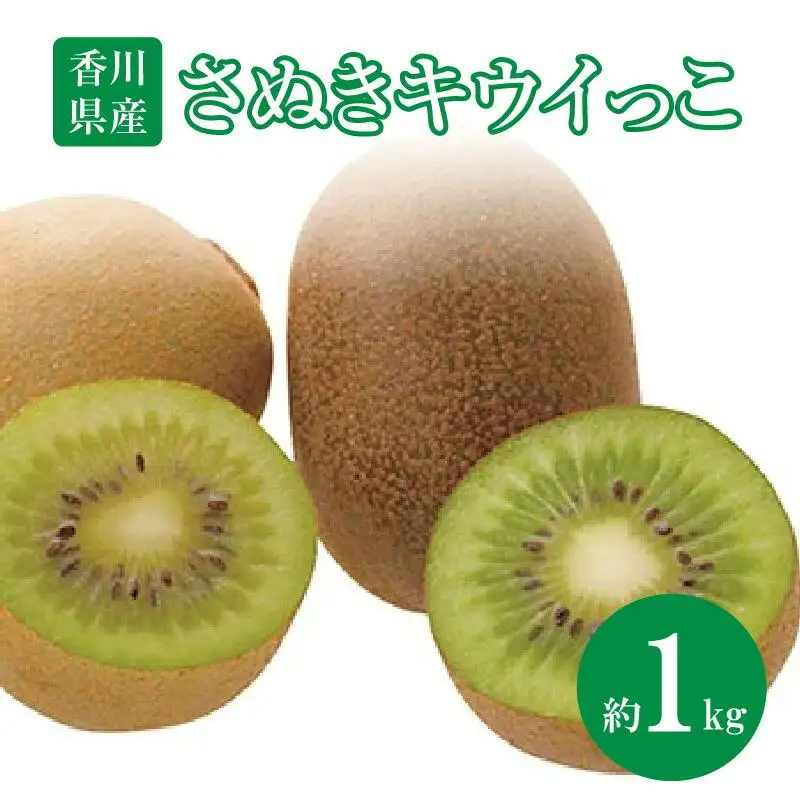 さぬきキウイっこ　約1kg【2026年10月下旬～2026年12月下旬配送】