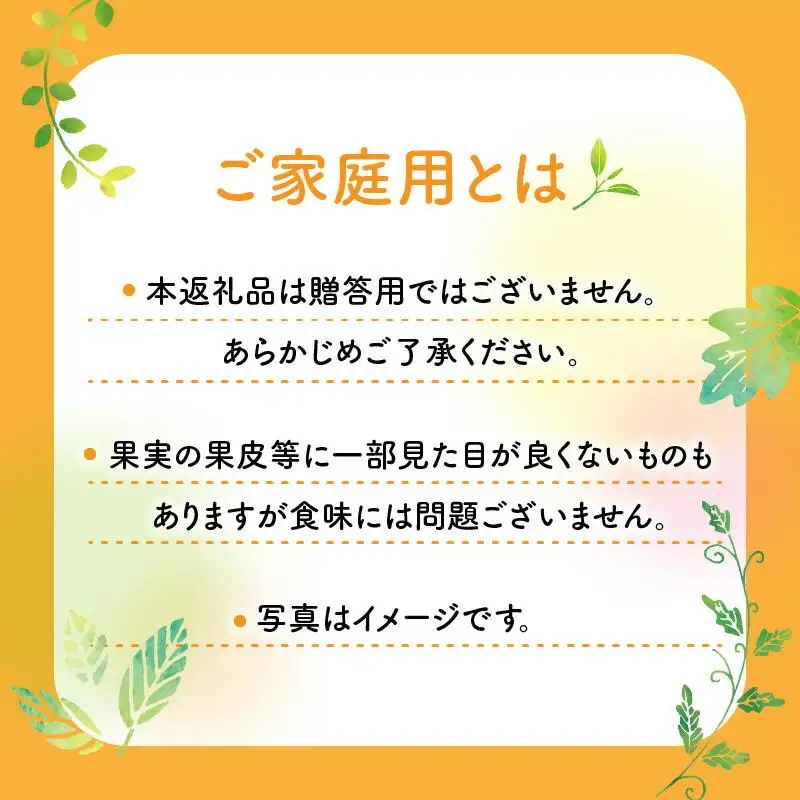 ＼寄附額改定／【訳あり 】みかん 西南のひかり　ご家庭用　約3kg【2026年12月上旬～2027年1月上旬配送】