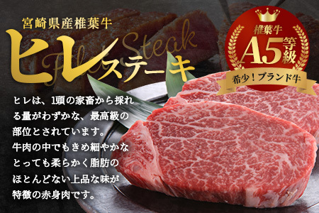 牛肉 宮崎県産 椎葉牛 ヒレ肉 480g お試しステーキソース付き A5等級指定 ヒレ 牛ヒレ肉 牛肉 TK-24