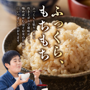 S061-T07A_【3ヶ月定期便】特別栽培米 天草五ッ星米 玄米 5kg【先行受付】